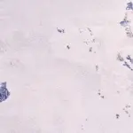 Rotoli Modern Krem Bambu ve Akrilik Makine Halısı - Görsel 3