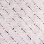 Zafra Geometrik Bej Viskon ve Akrilik Pamuk Tabanlı Makine Halısı Zafra Geometrik Bej Viskon ve Akrilik Pamuk Tabanlı Makine Halısı