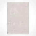 Calau Modern Bej Mikropolyester Pamuk Tabanlı Makine Halısı - Görsel 2