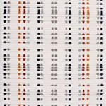 Pesga Modern Multi Polyester Pamuk Tabanlı Makine Halısı