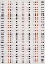 Pesga Modern Multi Polyester Pamuk Tabanlı Makine Halısı