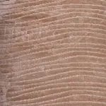 Monzon Modern Kahverengi Polyester Pamuk Tabanlı Makine Halısı