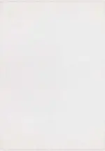 Arcones Modern Beyaz Polyester Kaydırmaz Tabanlı Makine Halısı