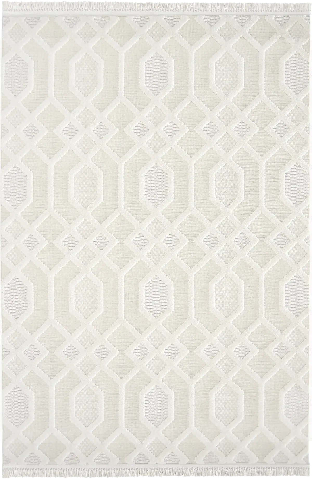 Hy5Hn5E0eZTjLOplx5RT9CnELH4W4cYm_q40_contain