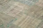 Patchwork Gri Pamuk Üzerine Yün El Dokuma Kilim-200x303 - Görsel 5