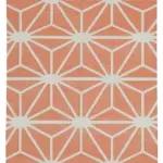 Duri Modern Turuncu Pamuk Üstü Yün El Dokuma Kilim-110x166