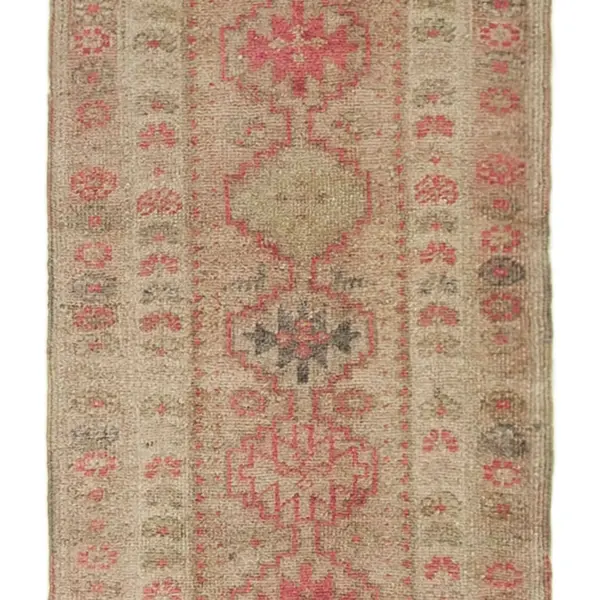 Rc_32798_1_Beige_Oriental_Runner_Rugs
