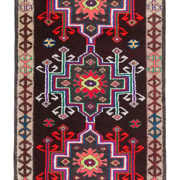 Rc_32859_1_Multicolor_Oriental_Runner_Rugs