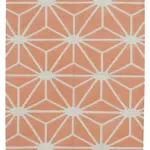 Duri Modern Turuncu Pamuk Üstü Yün El Dokuma Kilim-112x164