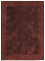 Needlepoint Kahverengi Pamuk Üzerine Yün El Dokuma Halı-249x343