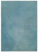 Needlepoint Mavi Pamuk Üzerine Yün El Dokuma Halı-251x340