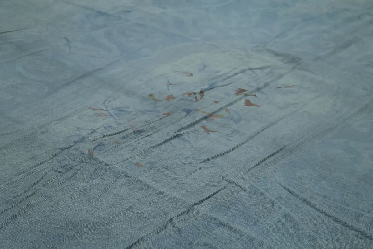 Needlepoint Mavi Pamuk Üzerine Yün El Dokuma Halı-342x446 - Görsel 5