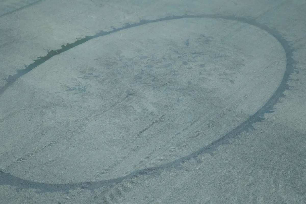 Needlepoint Mavi Pamuk Üzerine Yün El Dokuma Halı-276x388 - Görsel 5