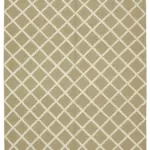 Nepal Bej Pamuk Üzerine Yün El Dokuma Halı-244x305