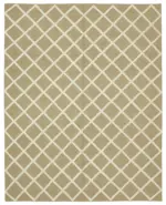 Nepal Bej Pamuk Üzerine Yün El Dokuma Halı-244x305