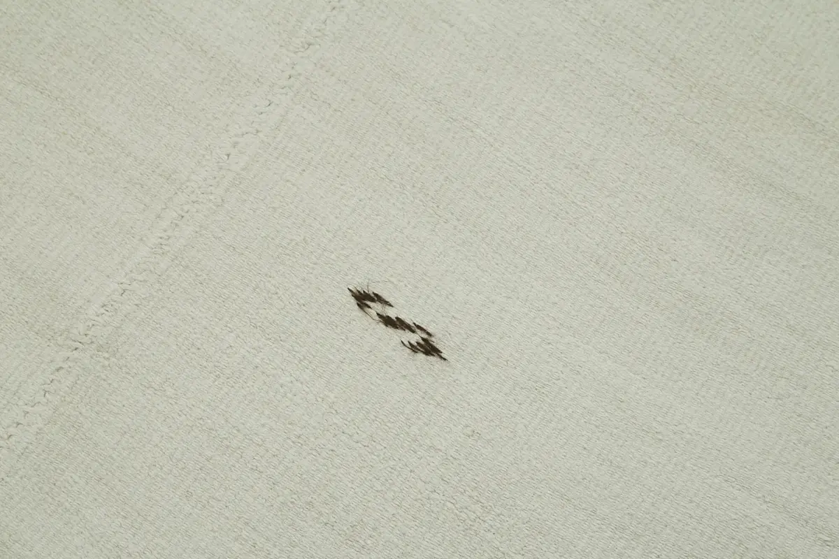 Kendir Çizgili Beyaz Kenevir İpinden El Dokuma Kilim-187x360 - Görsel 5