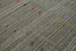 Kıl Çizgili Gri Keçi Kılı İpliğinden El Dokuma Kilim-202x281 - Görsel 5