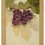 Needlepoint Bej Pamuk Üzerine Yün El Dokuma Halı-212x292