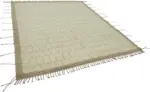 Tribal Modern Dizayn Bej Pamuk Üzerine Yün El Dokuma Halı-249x312 - Görsel 2