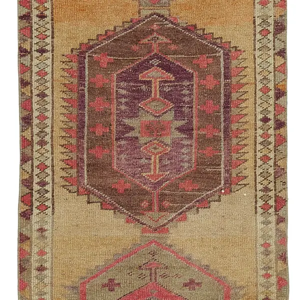 Rc_48213_0_Brown_Oriental_Runner_Rugs