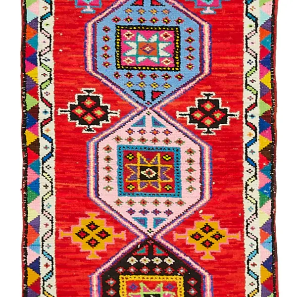 Rc_48230_0_Multicolor_Oriental_Runner_Rugs