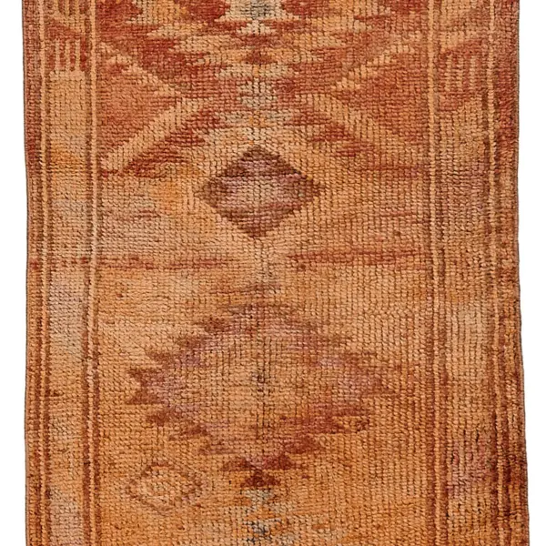Rc_48489_0_Orange_Oriental_Runner_Rugs