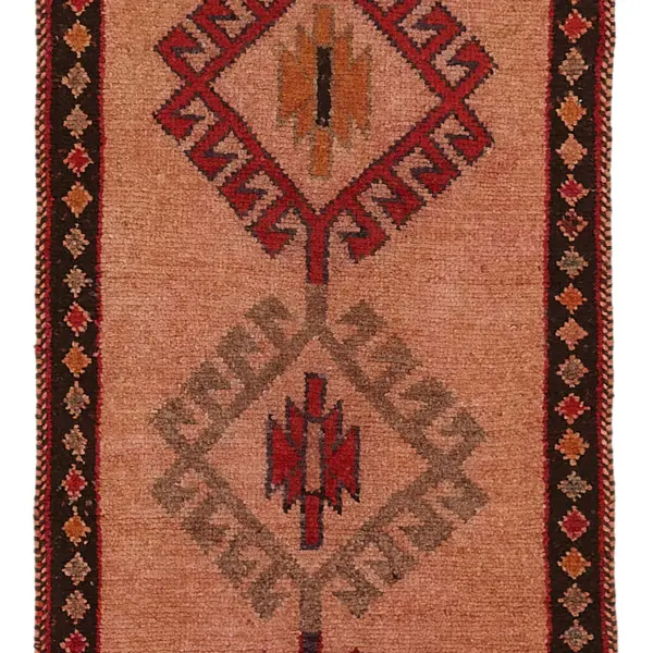 Rc_48498_0_Orange_Oriental_Runner_Rugs
