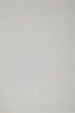 Hernoy Modern Beyaz Polyester Makine Halısı