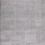 Orago Modern Gri Polyester Kaydırmaz Taban Makine Halısı