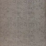 Kepte Modern Vizon Yıkanabilir Polyester Makine Halısı Kepte Modern Vizon Yıkanabilir Polyester Makine Halısı