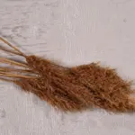 Bercial Modern Krem Polyester Kaydırmaz Tabanlı Makine Halısı - Görsel 5