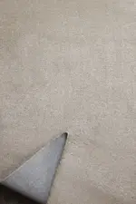 Nerja Shagy Kahve Polyester Makine Halısı - Görsel 3