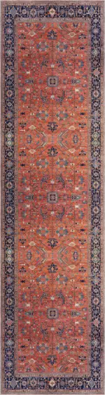 Nankin Çerçeveli Multi Polyester ve Pamuklu Kaydırmaz Tabanlı Yıkanabilir Dijital Baskı Halısı - Görsel 4