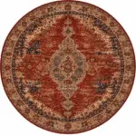 Astoni Klasik Çerçeveli Multi Polyester ve Pamuklu Kaydırmaz Taban Yıkanabilir Dijital Baskı Halısı - Görsel 5